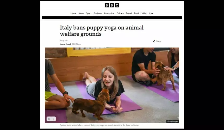 Минздрав Италии запретил занятия йогой с щенками