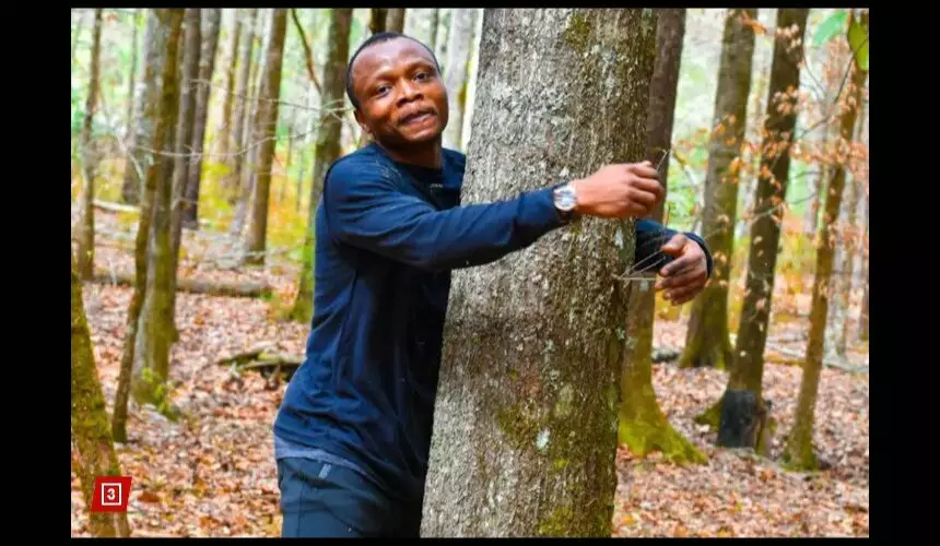 Эколог побил мировой рекорд, обняв 1123 дерева за час